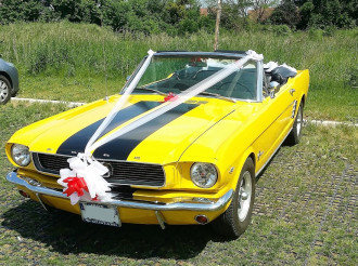 VACV Ford Mustang